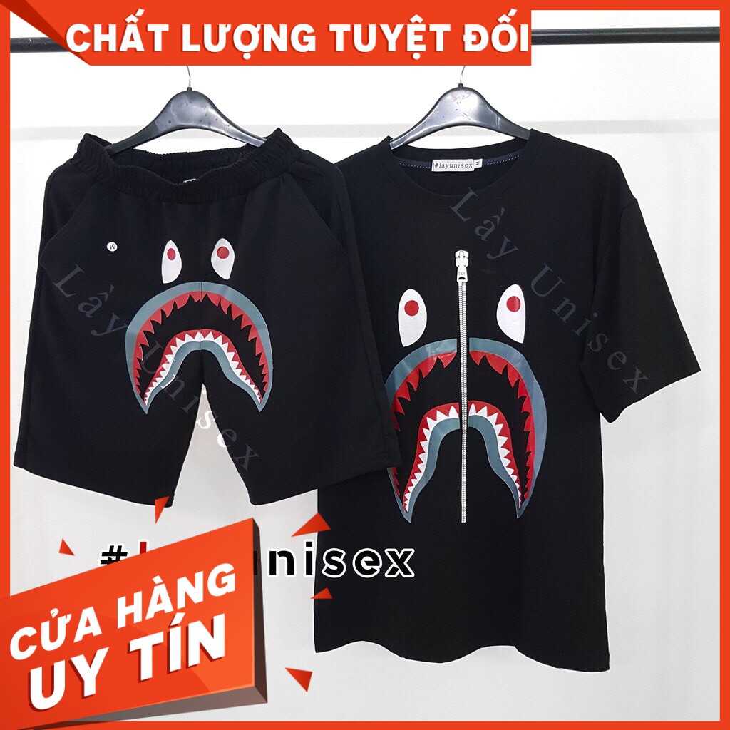 Đồ thể thao nam  FREESHIP  sét thể thao nam in hình cá mập có dây khoác kéo như hình ảnh thật