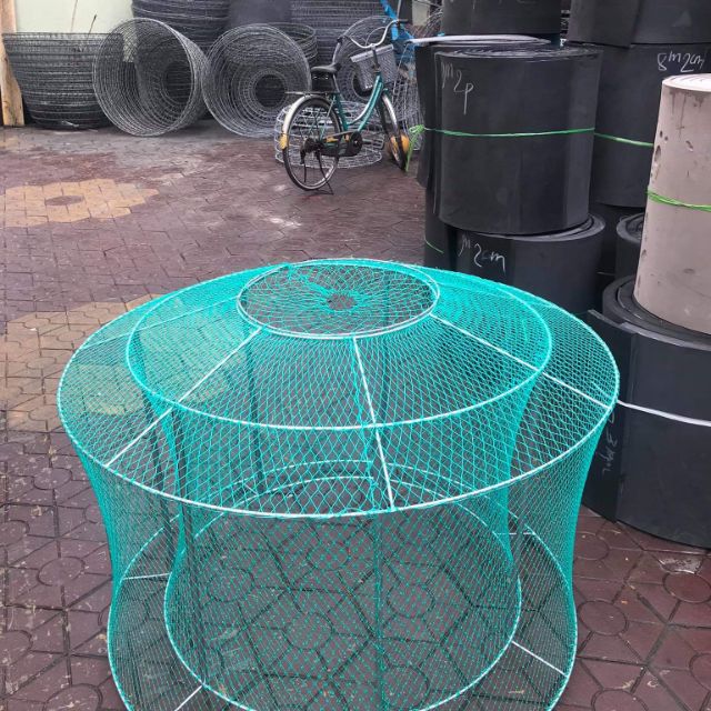 Lồng chạy lưới tập lực