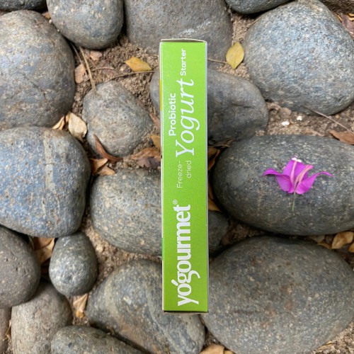 Men làm sữa chua Probiotic 18gr