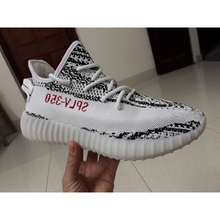 giày thể thao cao cấp YZ 350 Zebra
