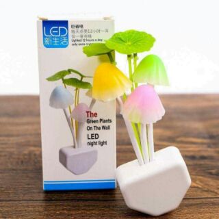 COMBO 70 ĐÈN NGỦ NẤM