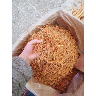 COMBO 200gr mầm sâm Nhân Sâm Hàn Quốc
