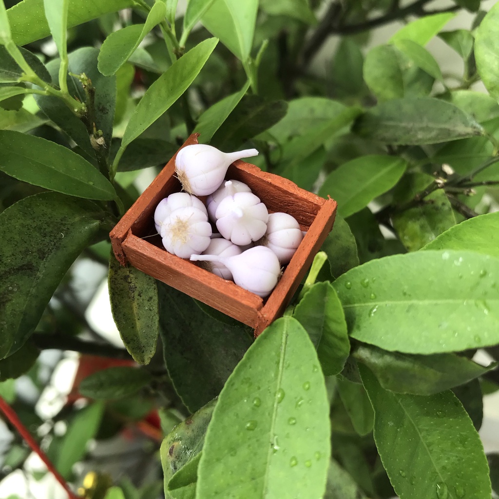 Mô hình tỏi mini cho nhà búp bê từ đất sét tỉ lệ 1/6