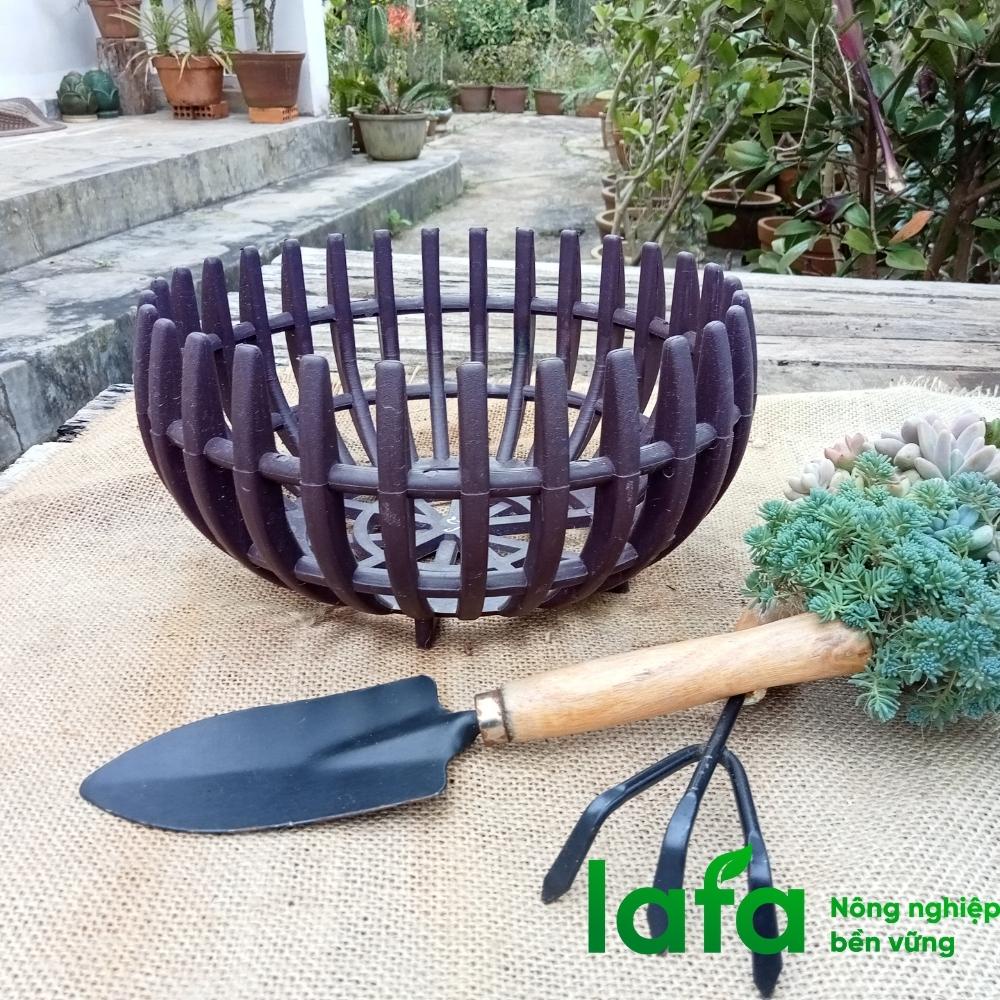 Giỏ nhựa trồng hoa lan hình Bí