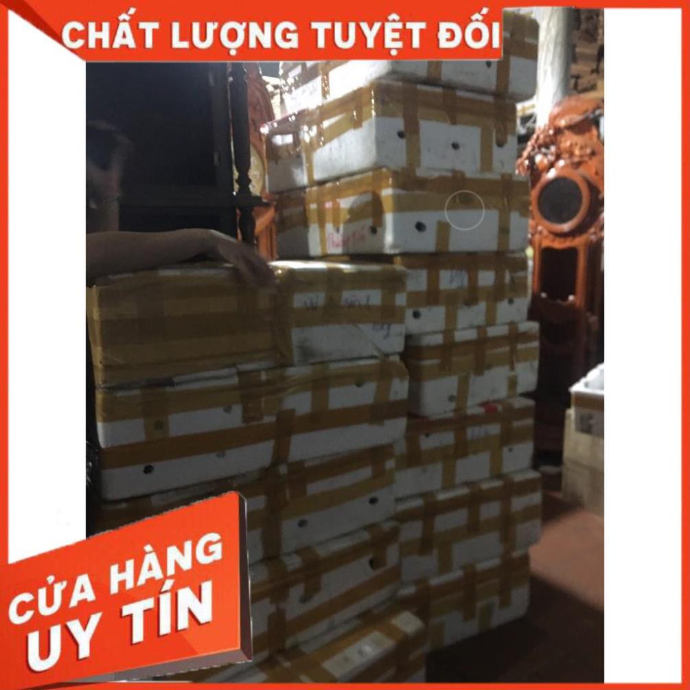 [Hàng cao cấp - loại 1] Đồng hồ để bàn đứng quả lắc gỗ mun, gỗ gõ sang trọng - đẳng cấp