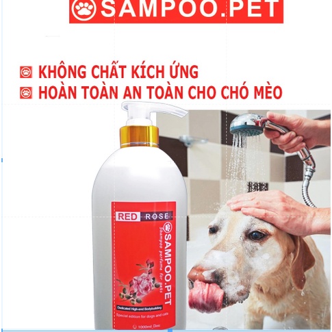 Sữa tắm chó mèo Sampoo.pet Sữa tắm nước hoa thơm cho thú cưng Thơm lâu hơn