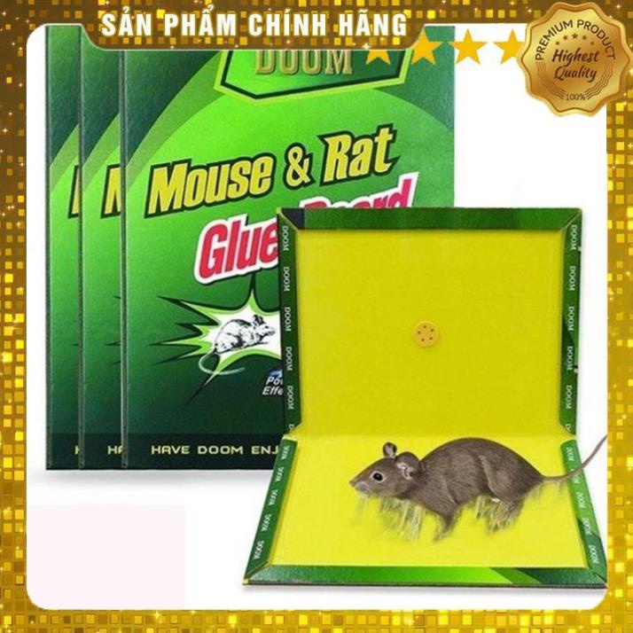 [GIÁ SỈ] Keo dính chuột TOMCAT siêu dính