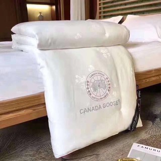 CHĂN HÈ LỤA TENCEL CAO CẤP 2MX2M3
