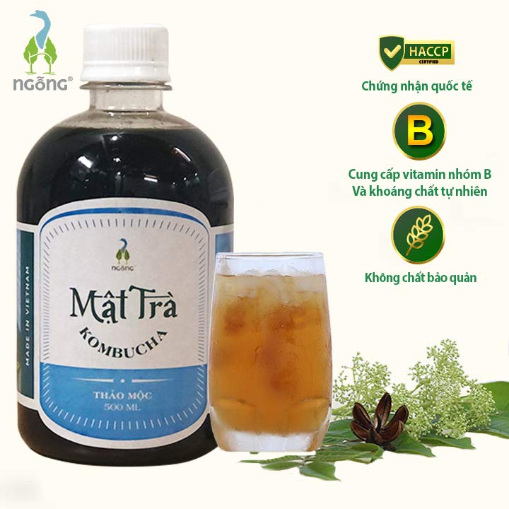 Mật Trà Kombucha Thảo Mộc 500ml