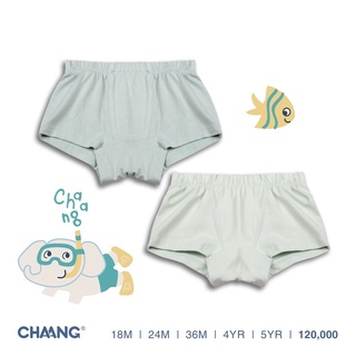 Chaang set quần chip cho bé chất cotton dành cho bé từ 12 tháng đến 5 tuổi