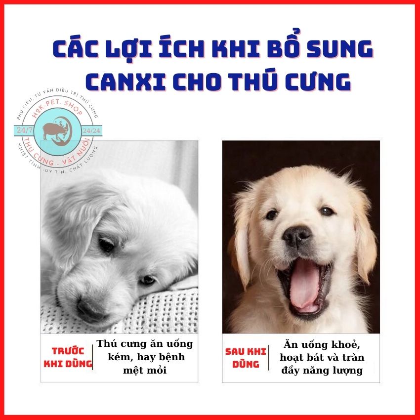 [LẺ 10 VIÊN] Canxi Cho Chó Mèo - Phát Triển Khung Xương, Chắc Xương, Mượt Lông, Giúp Thú Cưng Phát Triển Toàn Diện