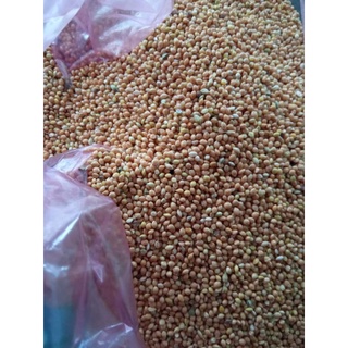 Hạt kê cho chim (1kg:30k)