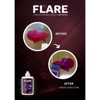 FLARE - Thuốc dành cho ép cá Betta. (hàng chính hãng)
