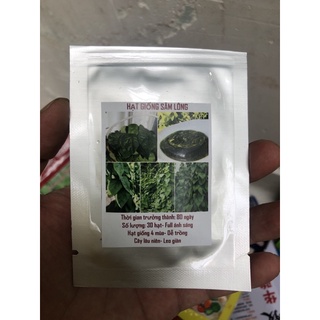 Hạt giống sương sâm lông 30 hạt