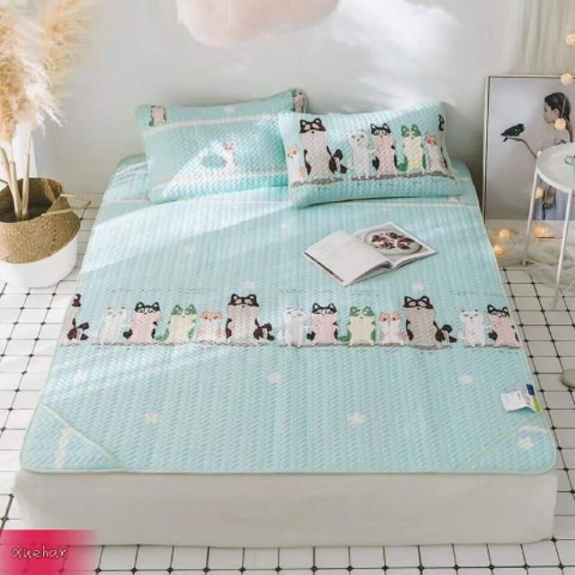 Chiếu điều hòa tencel cao cấp