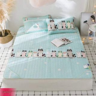 Chiếu điều hòa tencel cao cấp