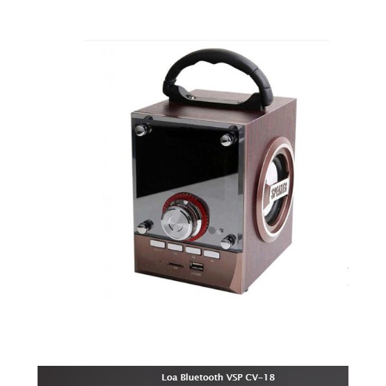 Loa kéo di động Bluetooth VSP CV-18