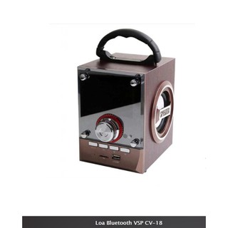 Loa kéo di động bluetooth vsp cv-18