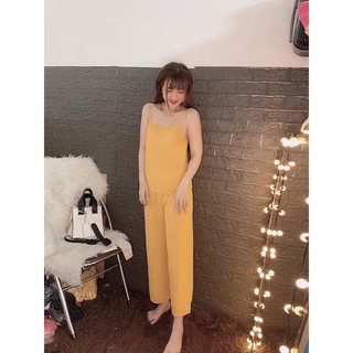 SET CỘT NƠ LƯNG