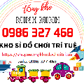 KHO SỈ ĐỒ CHƠI TRÍ TUỆ