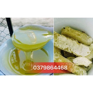 Mật ong bạc Hà Chuẩn ngon