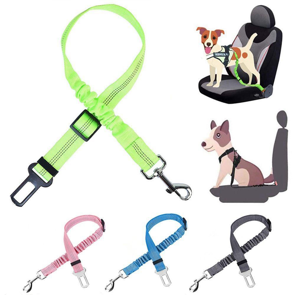 Dây ThắT An ToàN Trên Xe Cho Thú Cưng