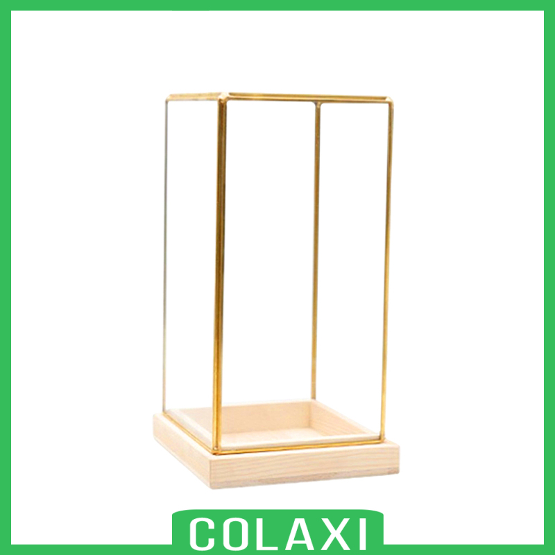 [COLAXI]Glass Display Case Decorative Cuboid Antique Artwork Showcase Terrarium