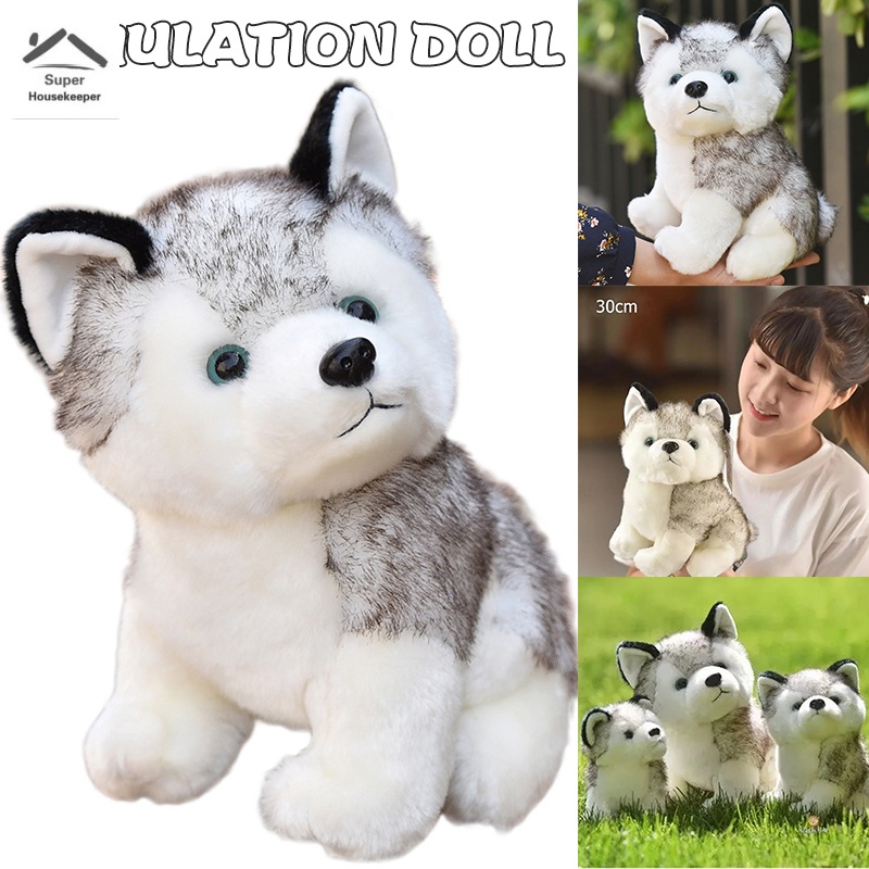 Đồ chơi nhồi bông hình chú chó Husky dễ thương cho bé