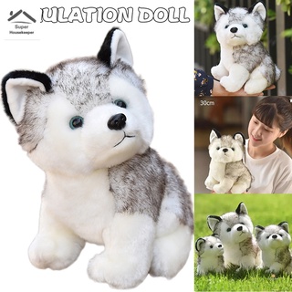 Đồ chơi nhồi bông hình chú chó Husky dễ thương cho bé