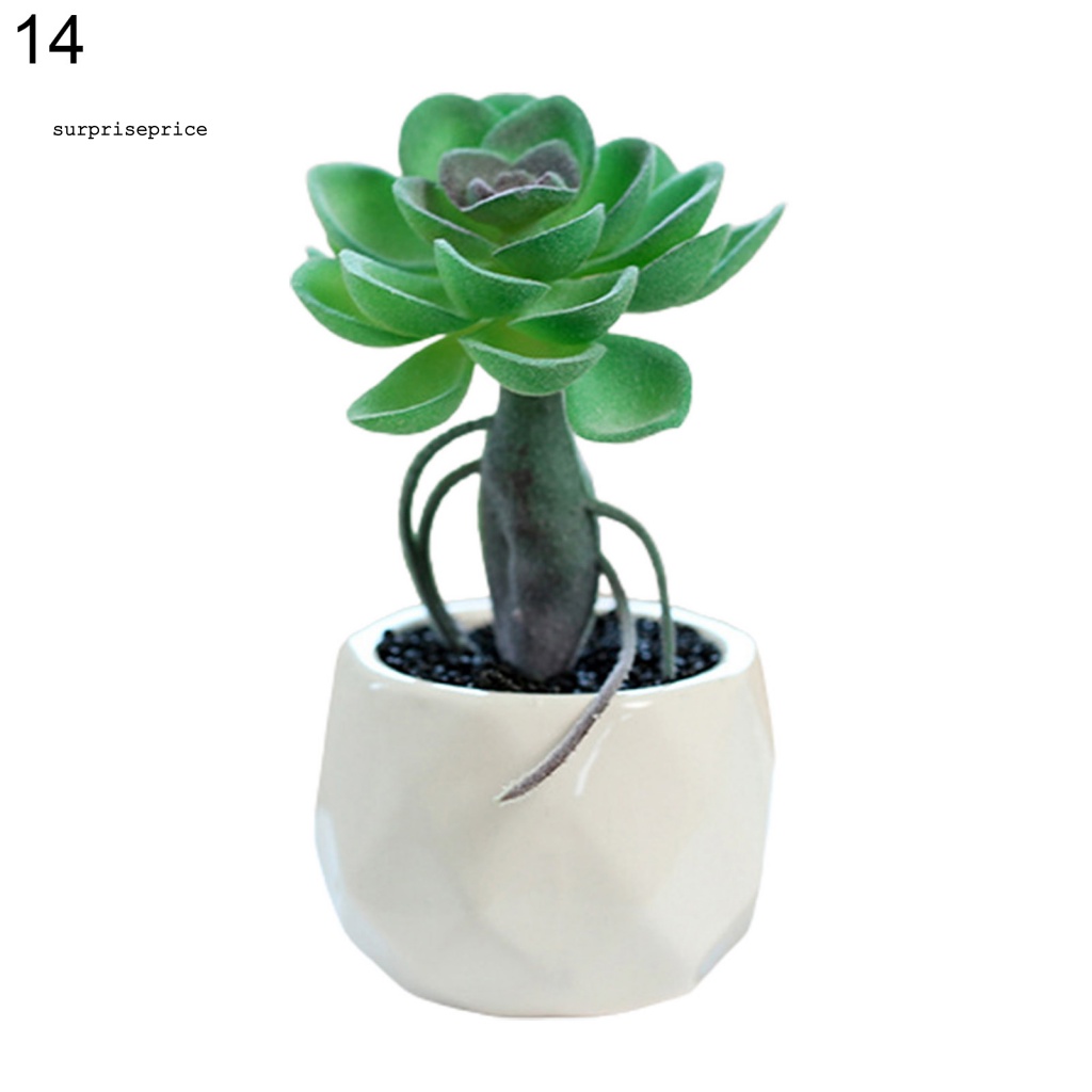 Chậu Cây Giả Mini Dùng Trang Trí Nhà Cửa