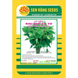 Gói 2Gr Hạt giống Rau Húng Quế chịu nhiệt dễ trồng