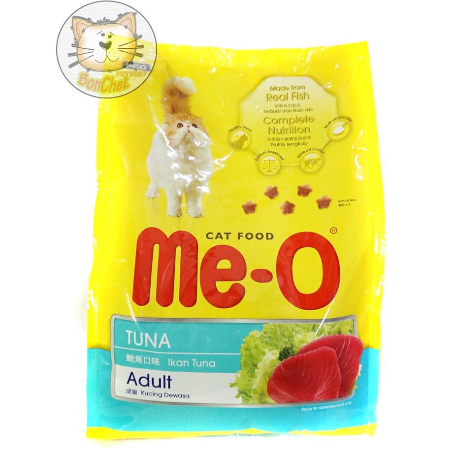 Meo Áo Thun Tay Ngắn Cổ Tròn In Hình Mèo Đáng Yêu Cho Người Lớn 1.3kg