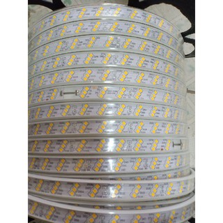 Led dây 3 hàng chéo.