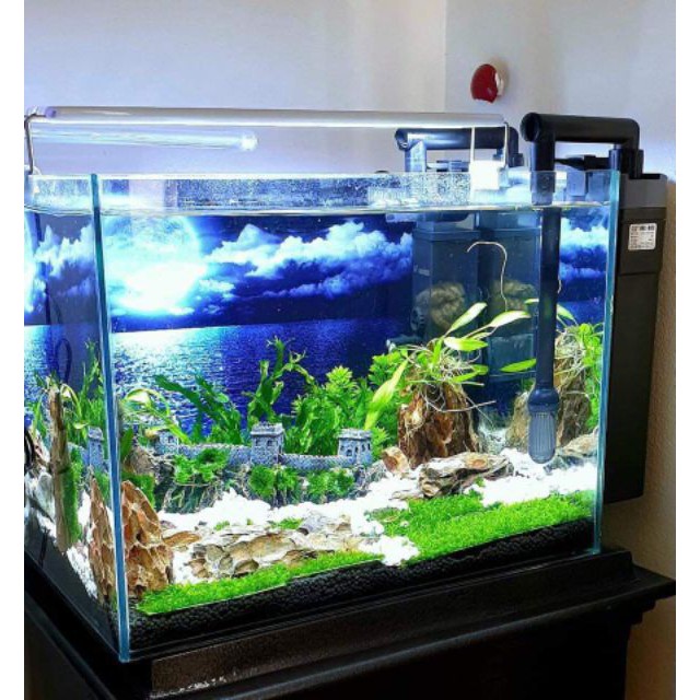 Đèn bể cá ❤️FREESHIP❤️ Đèn led máng dành cho bể thủy sinh 20cm, 30cm, 40cm, 50cm, 60cm, Tiết Kiệm Điện Bảo Hành 1 Năm