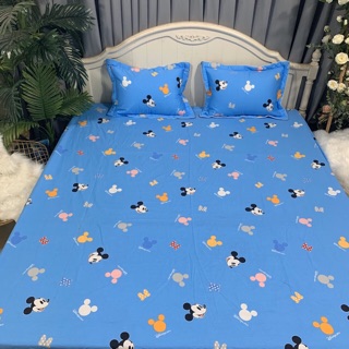 Ga gối cotton Trần chun