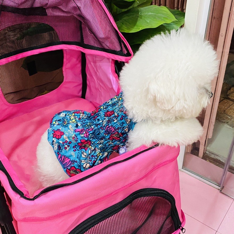 Đầm nhúng basic cho boss