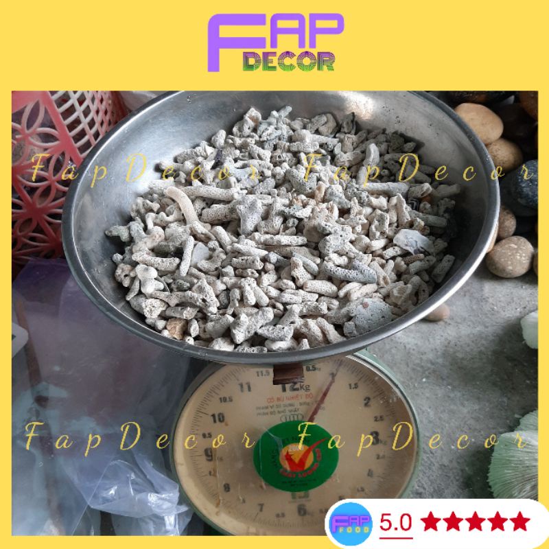 San Hô Sạn Vụn Lọc Nước Tăng Độ PH Cho Bể Cá, Lót Nền Thủy Sinh, Làm Vườn Chậu Cây - FapFood