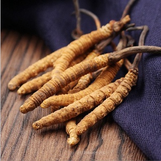 [ Sock-Hàng Chất ] Đông Trùng Hạ Thảo 1.5gr Khô Nguyên Con To ,Ngon ,Hàng Cao Cấp Bồi Bổ Cơ Thể MS02