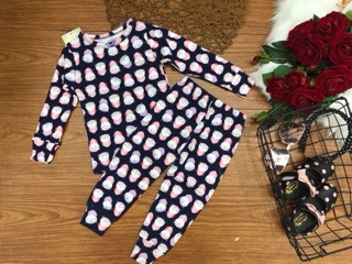 Combo 4 bộ cotton borip bé gái/bé trai 