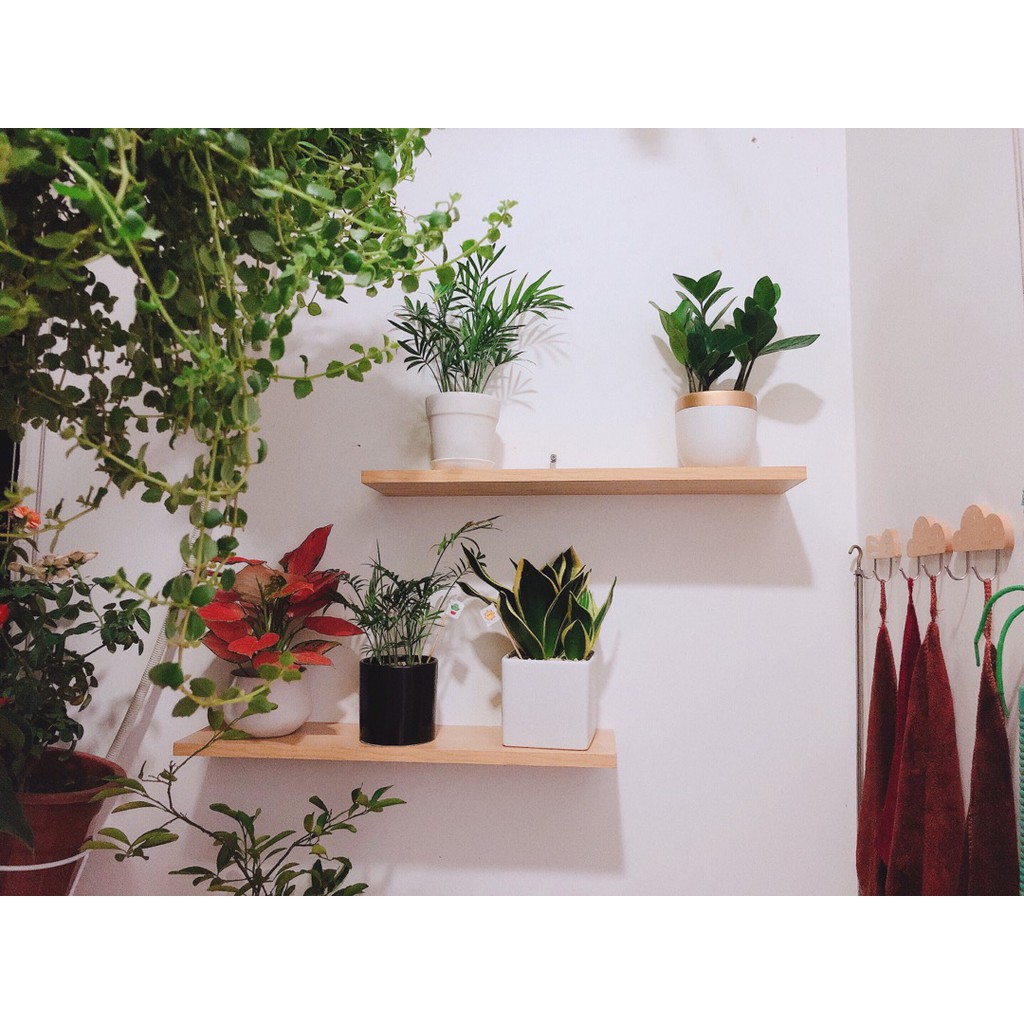 GIÁ TẠI XƯỞNG  thanh ngang kệ treo tường Rộng 40cm x sâu 13cm