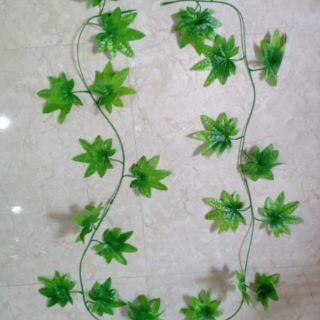 Dây lá phong xanh trang trí
