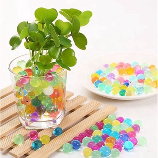 Gói Hạt Tinh Thể Trồng Cây Không Cần Đất (10000 Viên) TB0374