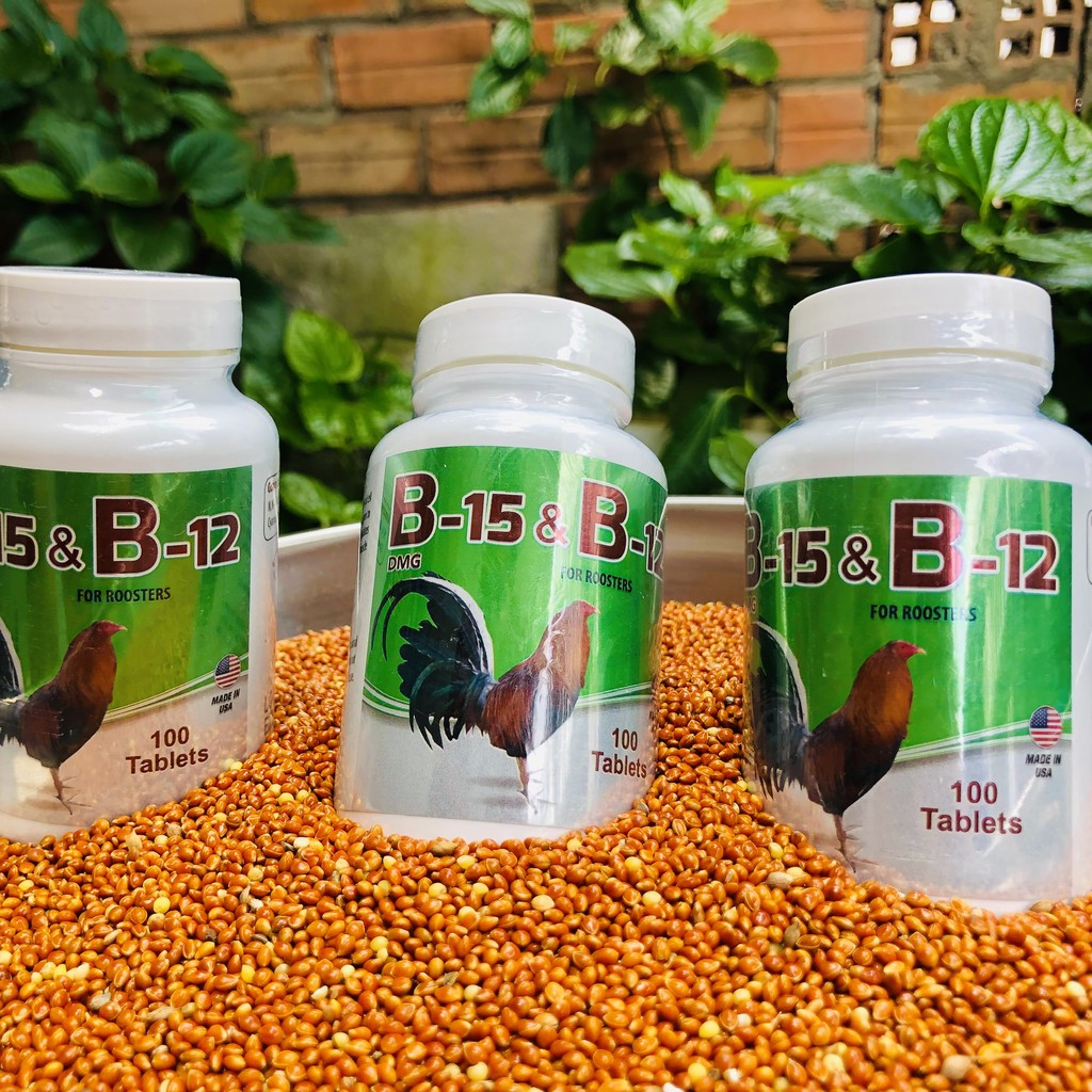 B15 & B12 thuốc nuôi gà đá , dinh dưỡng chiến kê