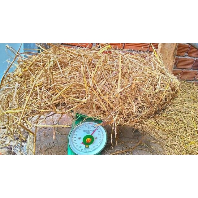 500gram ( nửa kí ) rơm khô, dùng để trồng cây, ủ nấm hoặc làm thức ăn cho thỏ bọ, lót chuồng giữ ấm rất tốt