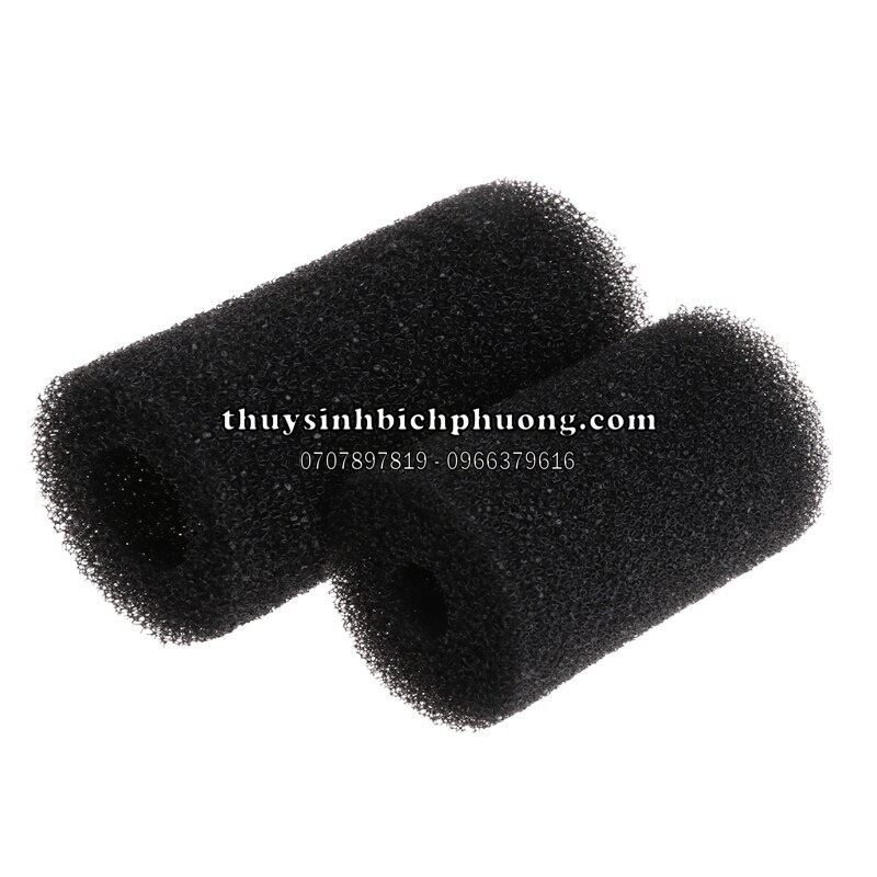 🍃BỊT TÉP MÚT - BỊT TÉP 🍃