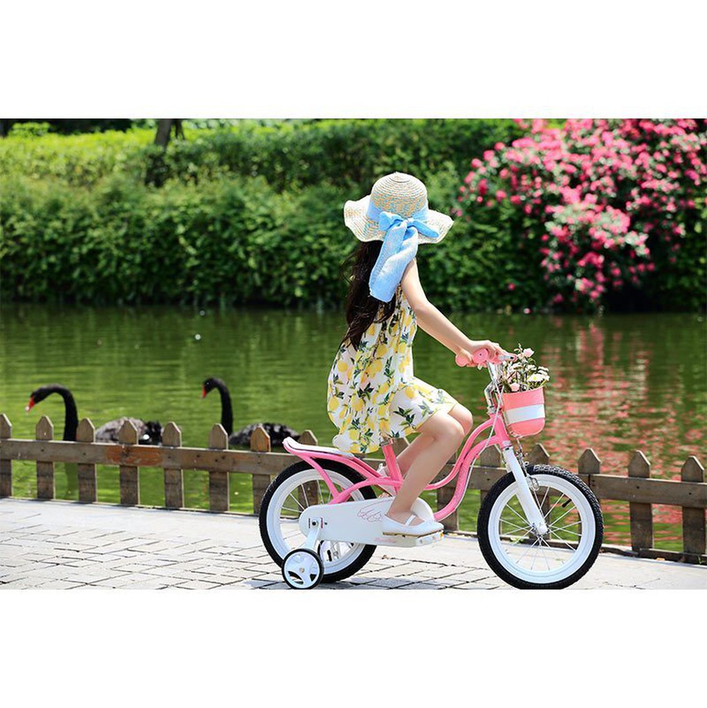Xe đạp trẻ em Little Swan 4318313592