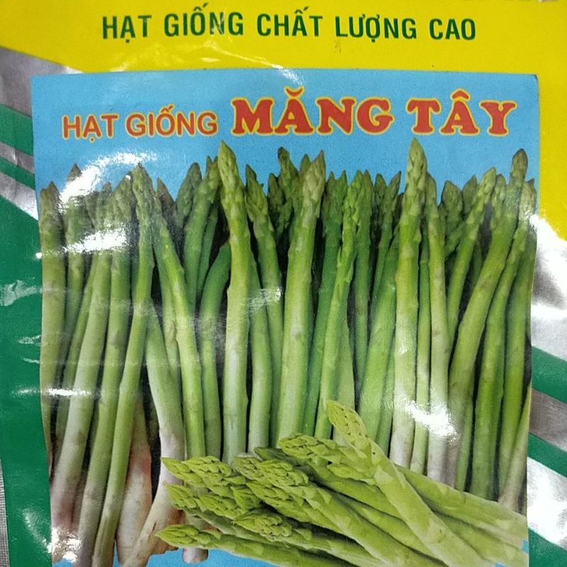 hạt măng tây