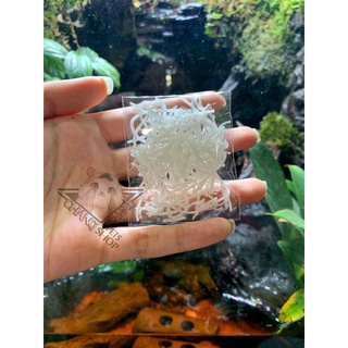 [Buffet 1k] Dừa sấy khô dành cho Hamster