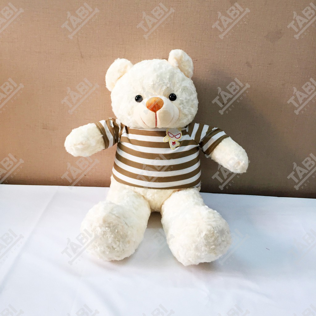 [Hình Shop Chụp] Gấu Bông Teddy Khổ Vải 80cm, Cao 60m - Thú Nhồi Bông Teddy Siêu Cute
