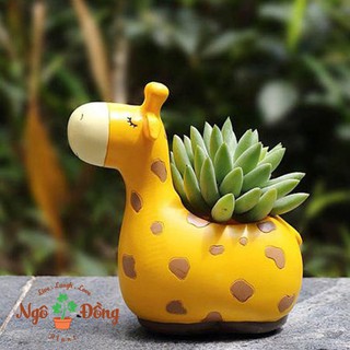 Chậu Cây Mini Hình Thú Hươu Cao Cổ Ngủ Say Trồng Sen Đá Xương Để Bàn Làm Việc Trang Trí Văn Phòng